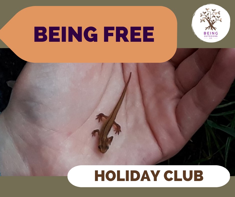 BEING FREE HOLIDAY CLUB